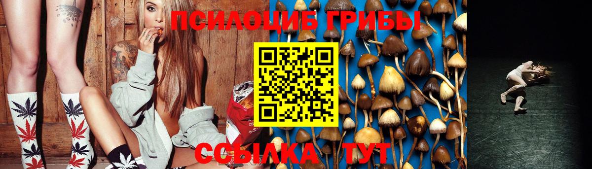 Галлюциногенные грибы Psilocybe Воронеж